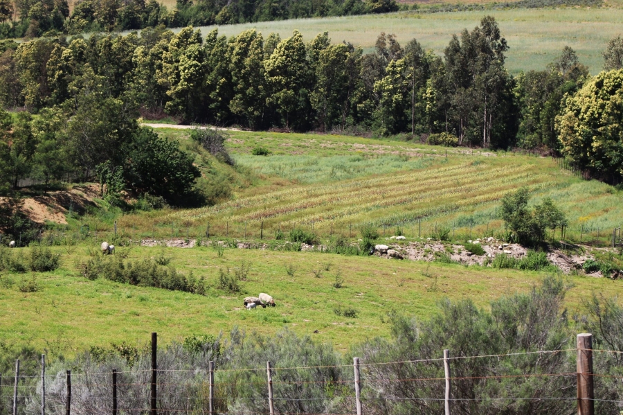0 Bedroom Property for Sale in Uniondale Rural Western Cape